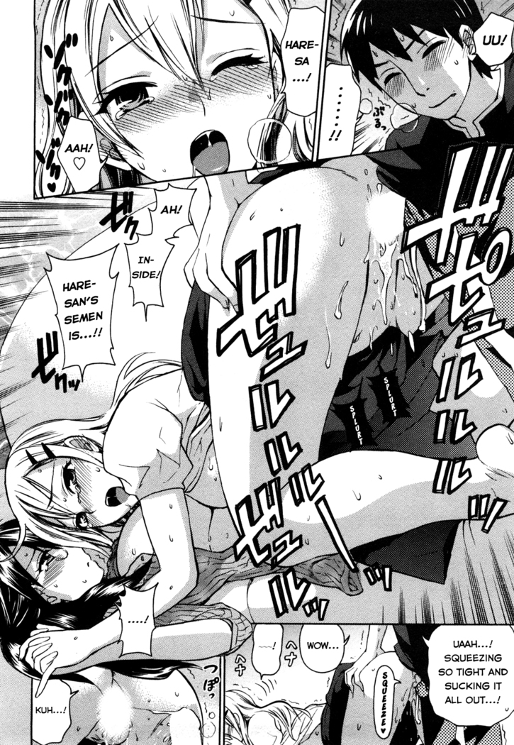 Zettai Harem Vol. 1