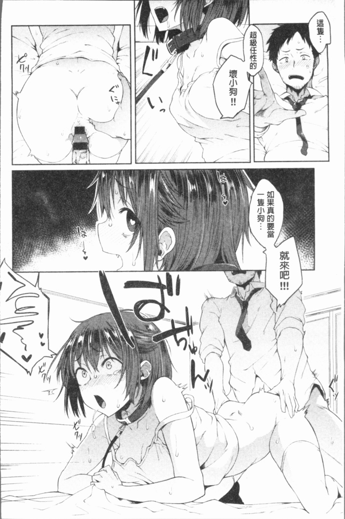 Suki no Toiki