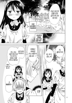 Chiisana Maid-san no Himitsu | 자그마한 메이드 아가씨의 비밀 - Page 22