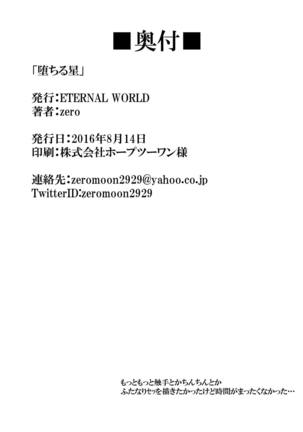 堕ちる星 魔法少女リリカルなのは Page #17