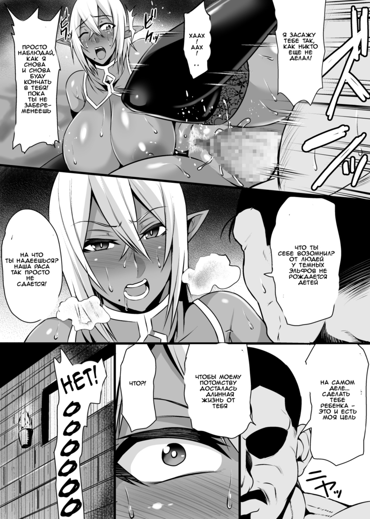 Onna Shougun Artesia - Dark Elf Haramase Choukyou Kiroku