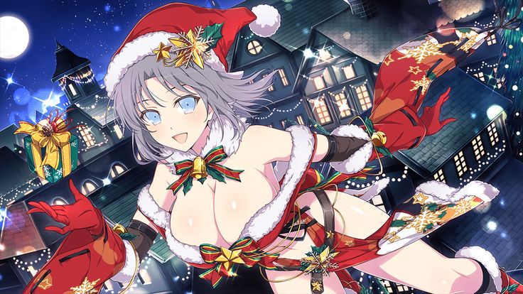 Master Ninja Senran Kagura NEW LINK - Holiday