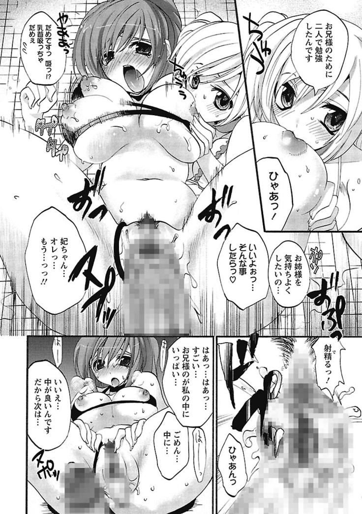 Koimimi.