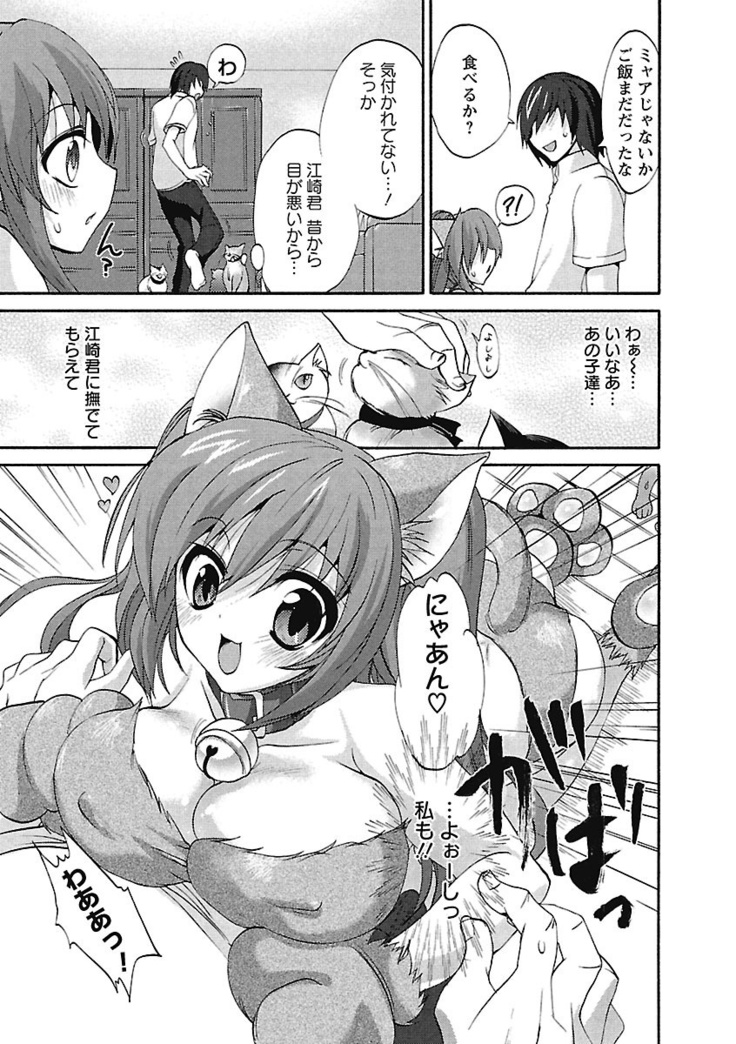 Koimimi.