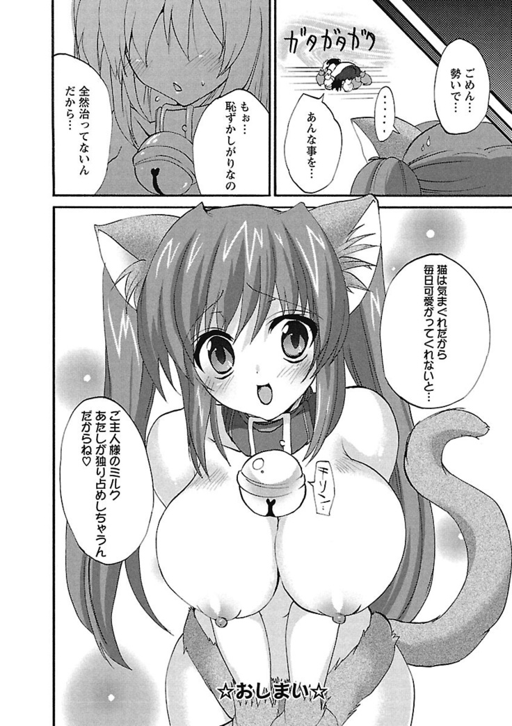Koimimi.