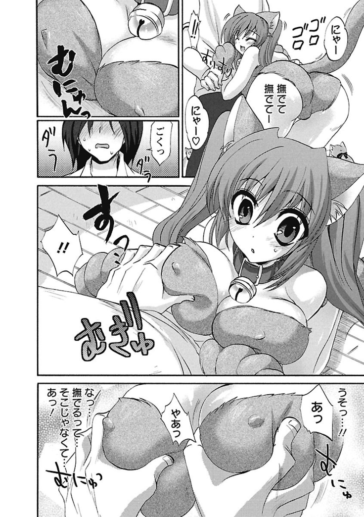 Koimimi.