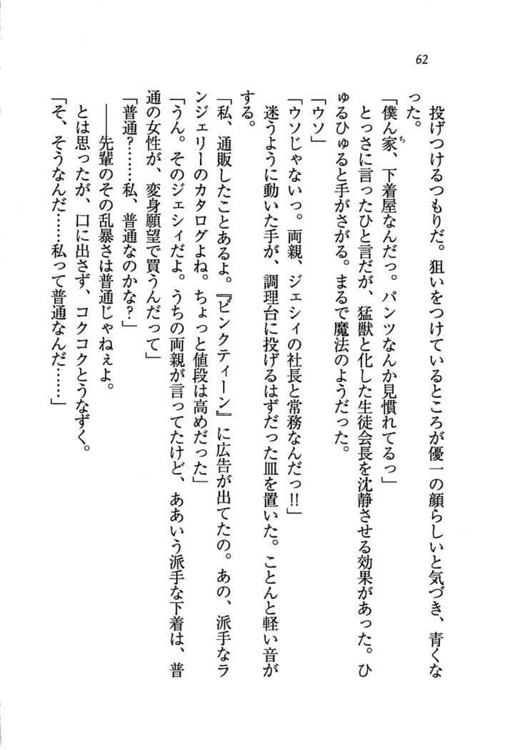 ナイショの生徒会長 放課後はキミの下着モデル
