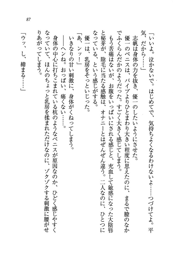 ナイショの生徒会長 放課後はキミの下着モデル