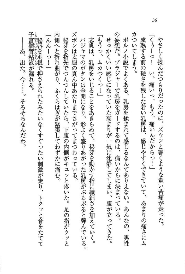 ナイショの生徒会長 放課後はキミの下着モデル