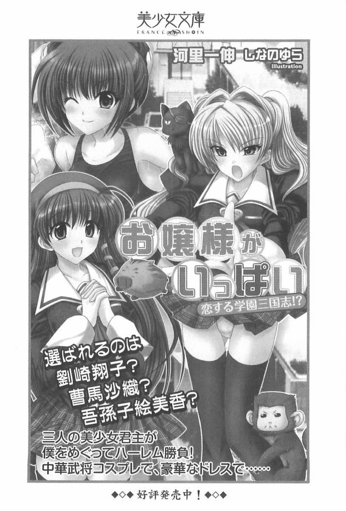 ナイショの生徒会長 放課後はキミの下着モデル