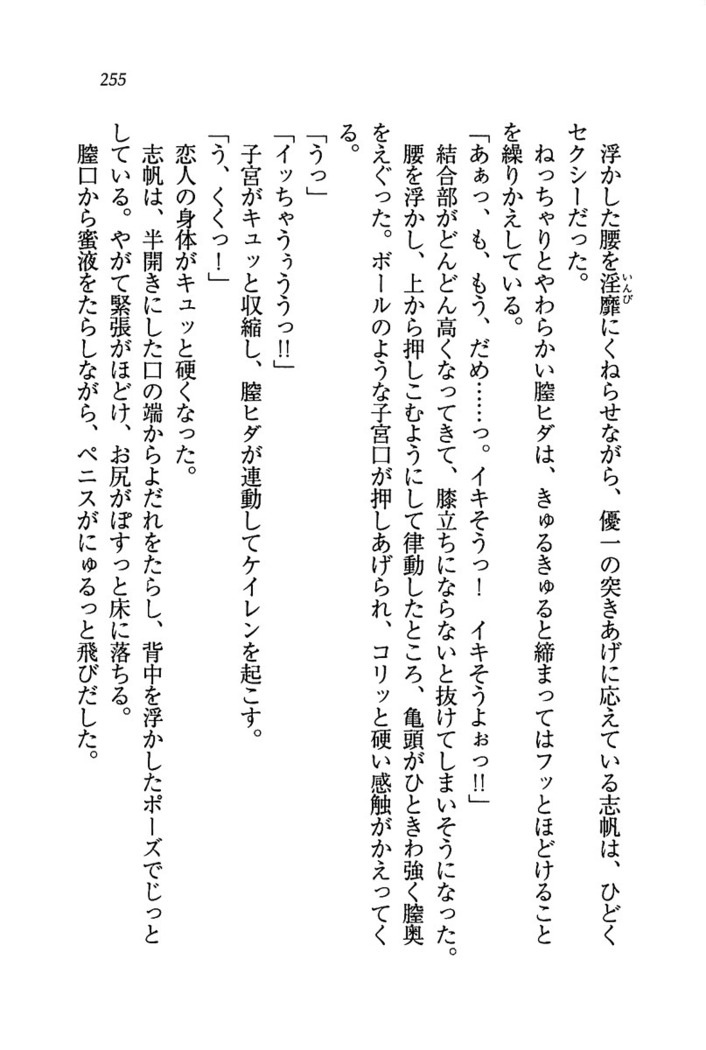 ナイショの生徒会長 放課後はキミの下着モデル