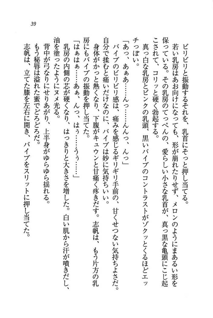 ナイショの生徒会長 放課後はキミの下着モデル