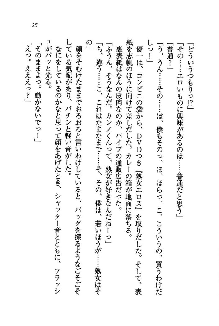 ナイショの生徒会長 放課後はキミの下着モデル