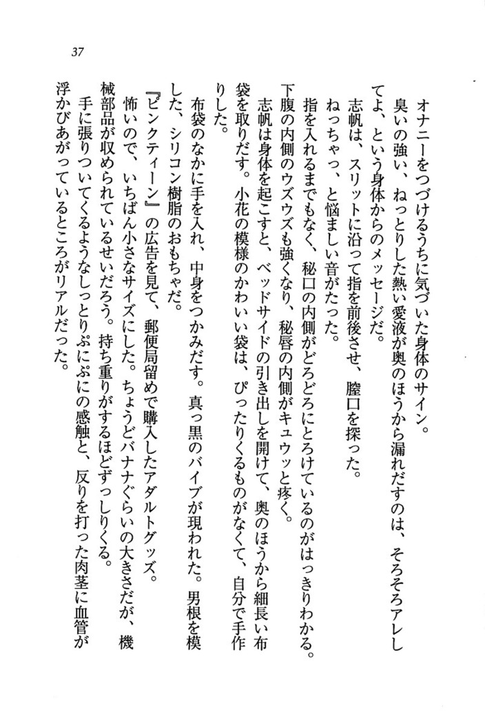 ナイショの生徒会長 放課後はキミの下着モデル