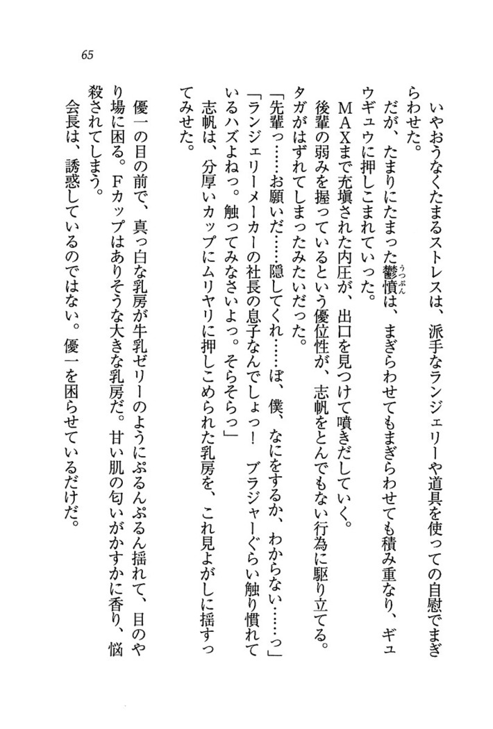 ナイショの生徒会長 放課後はキミの下着モデル