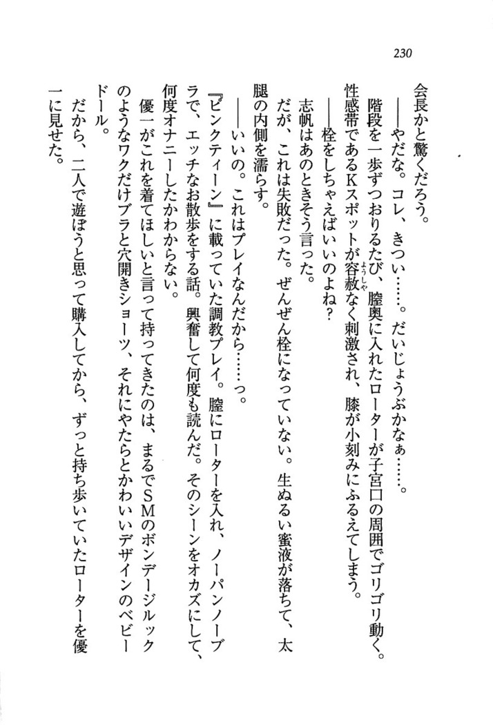 ナイショの生徒会長 放課後はキミの下着モデル