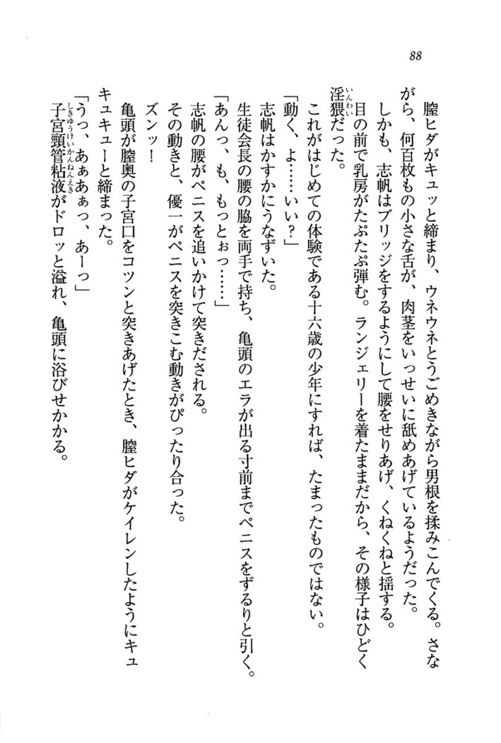 ナイショの生徒会長 放課後はキミの下着モデル