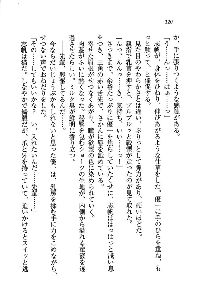ナイショの生徒会長 放課後はキミの下着モデル