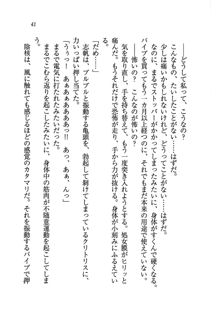 ナイショの生徒会長 放課後はキミの下着モデル