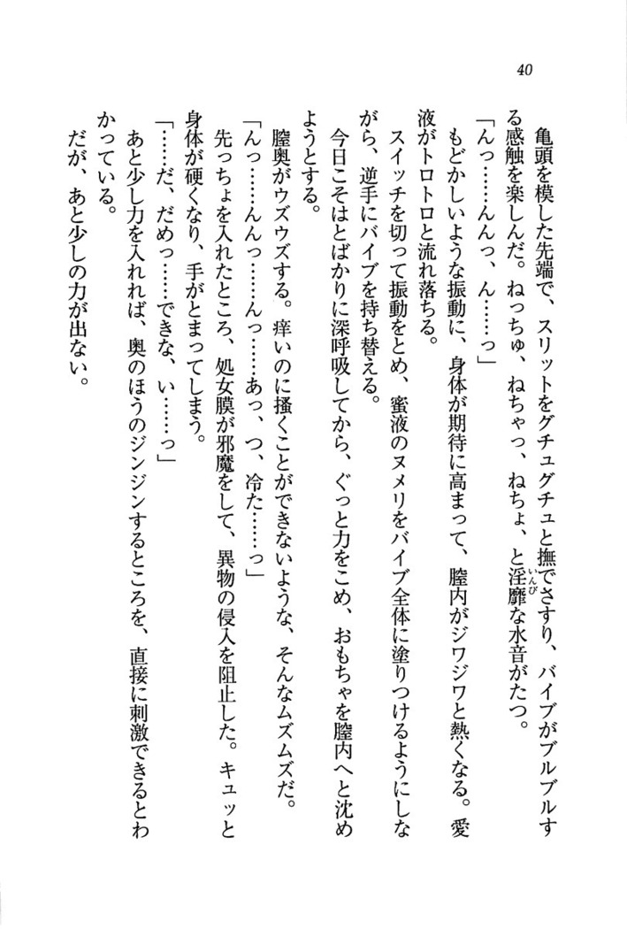 ナイショの生徒会長 放課後はキミの下着モデル