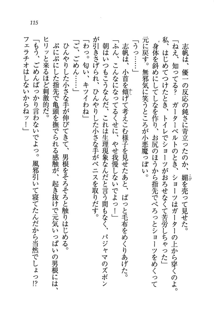 ナイショの生徒会長 放課後はキミの下着モデル