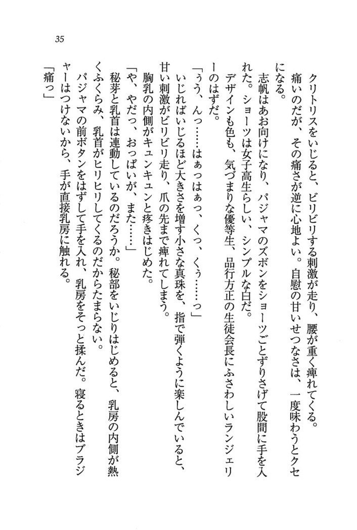 ナイショの生徒会長 放課後はキミの下着モデル