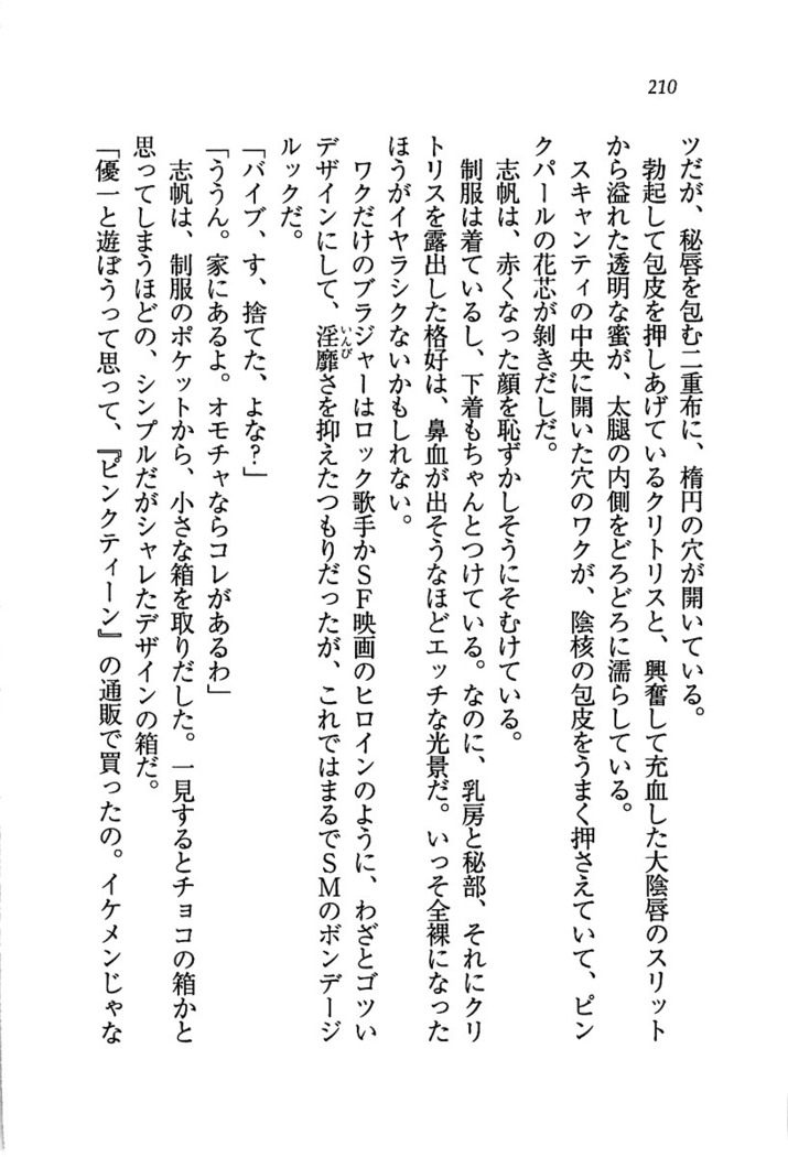 ナイショの生徒会長 放課後はキミの下着モデル