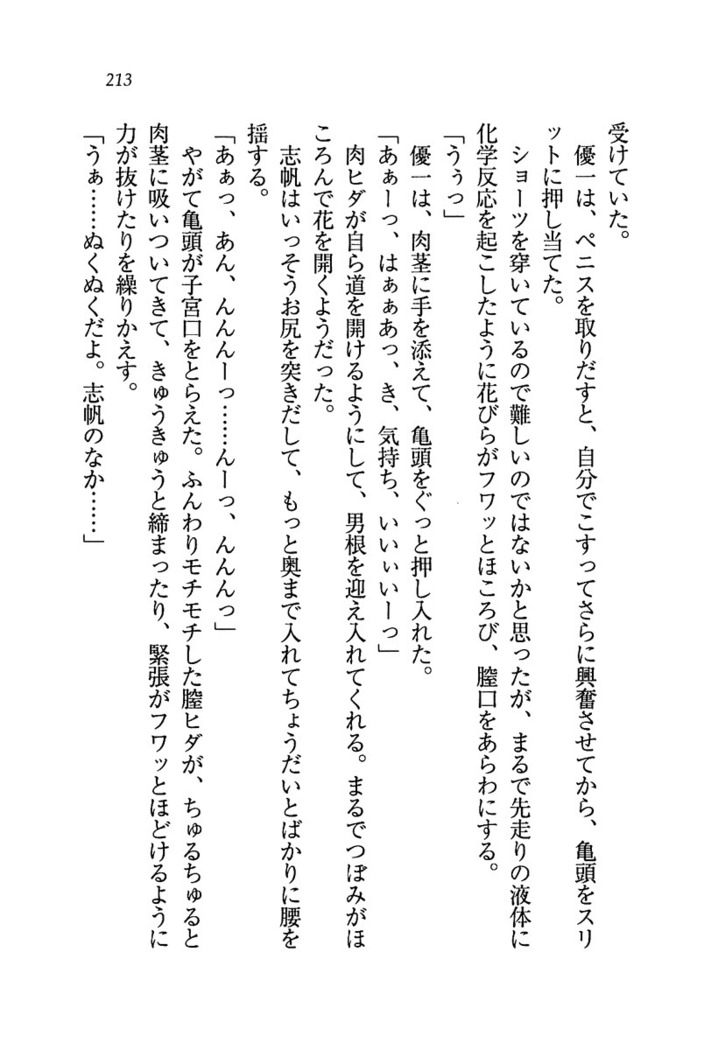 ナイショの生徒会長 放課後はキミの下着モデル
