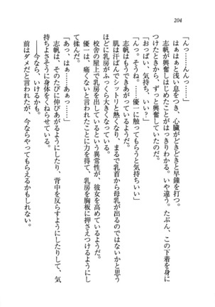 ナイショの生徒会長 放課後はキミの下着モデル Page #206