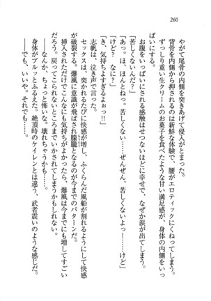 ナイショの生徒会長 放課後はキミの下着モデル Page #262