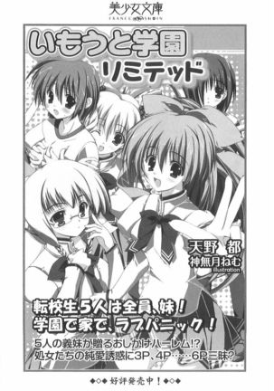 ナイショの生徒会長 放課後はキミの下着モデル Page #288