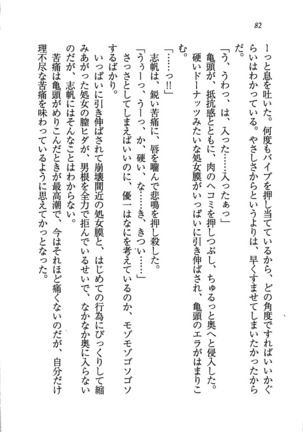 ナイショの生徒会長 放課後はキミの下着モデル Page #84
