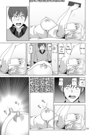 Imouto no Oppai ga Marudashi Datta Hanashi  {Bakapi} Page #14