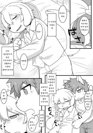 Image 6033631
