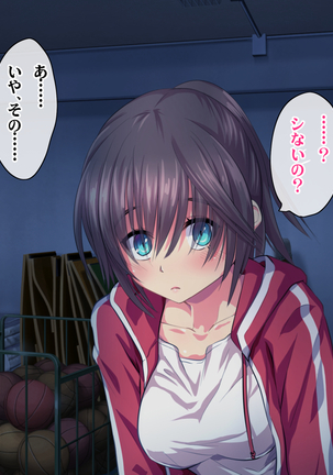 Kotori to Tsubasa to Icha Hame Online Page #386