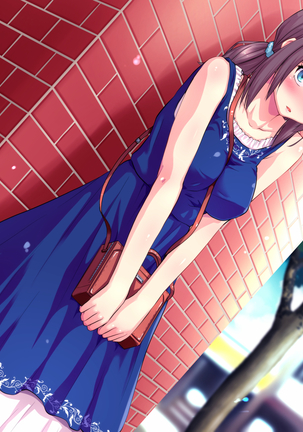 Kotori to Tsubasa to Icha Hame Online Page #649