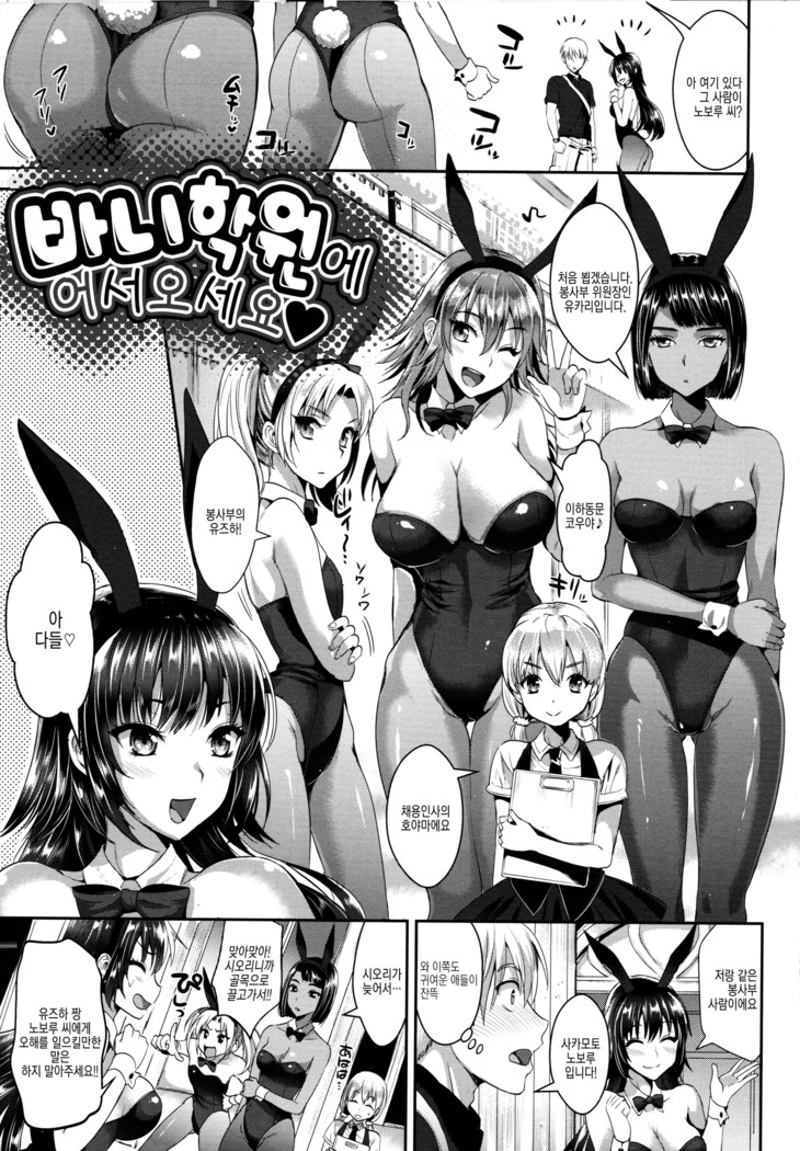 Bunny Gakuen e Youkoso | 바니 학원에 어서오세요