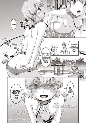 Image 13798403