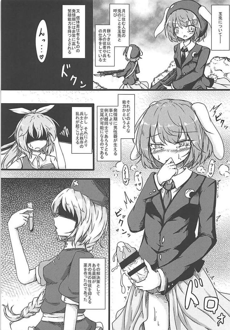 Ijou Seiyoku Usagi -Asagiiro no Ringogari-
