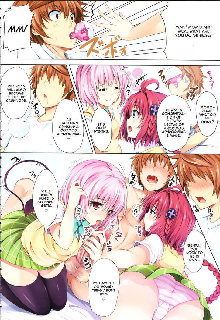 To LoVe-ru Party
