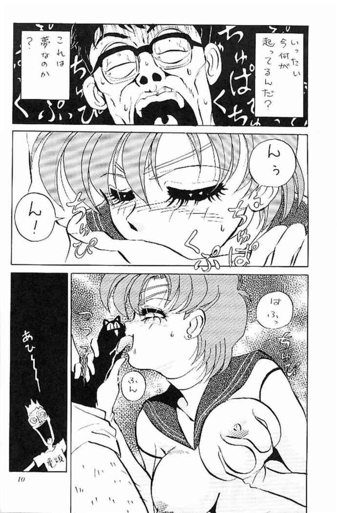 Sailor Moon Kaizou Keikaku