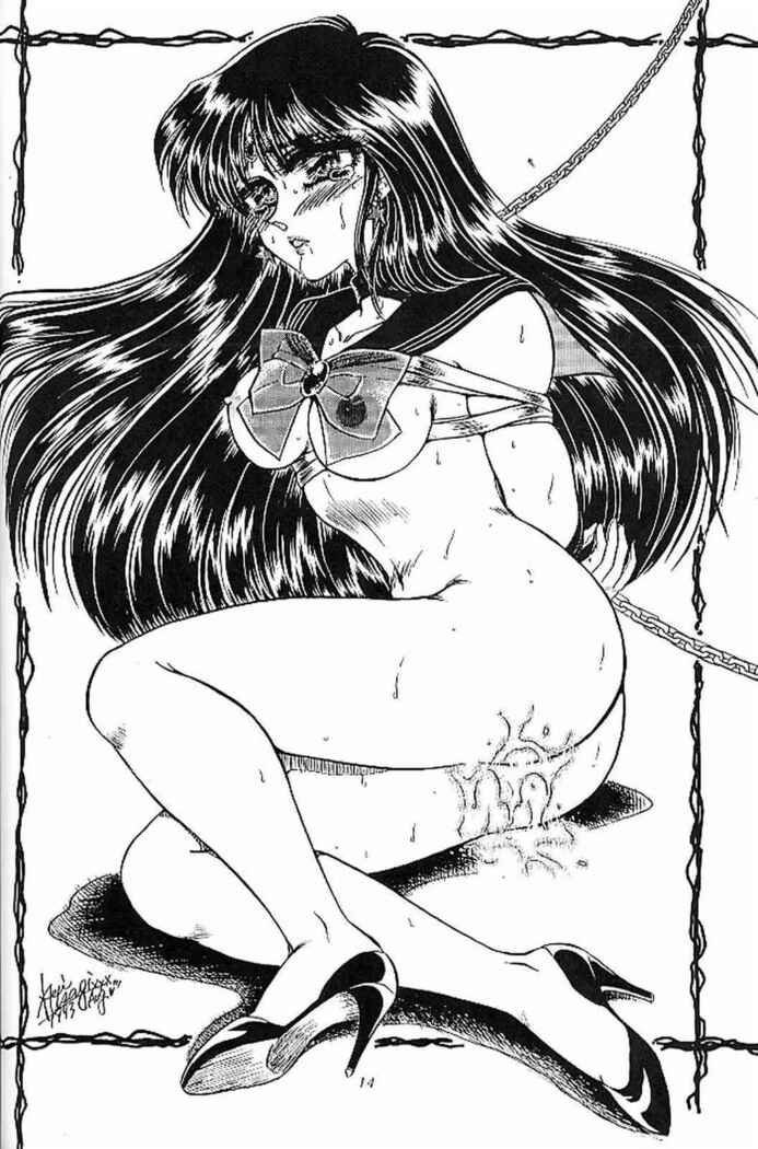 Sailor Moon Kaizou Keikaku