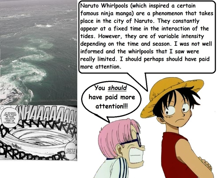 Expedition One Piece English