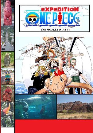 Expedition One Piece English