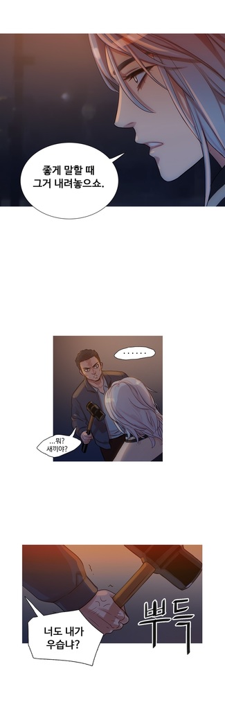 Scandal of the Witch Ch.0-29