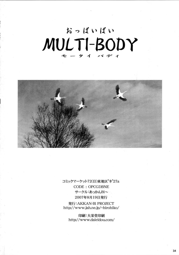 MULTI-BODY