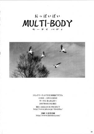 MULTI-BODY Page #35