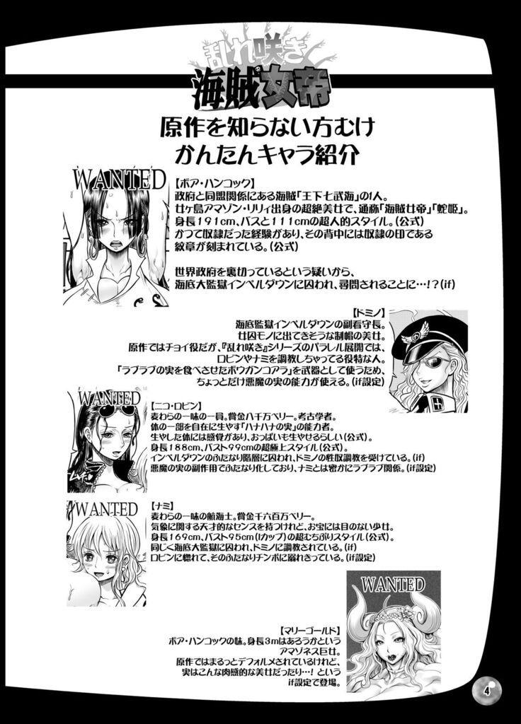 Midarezaki Kaizoku Jotei