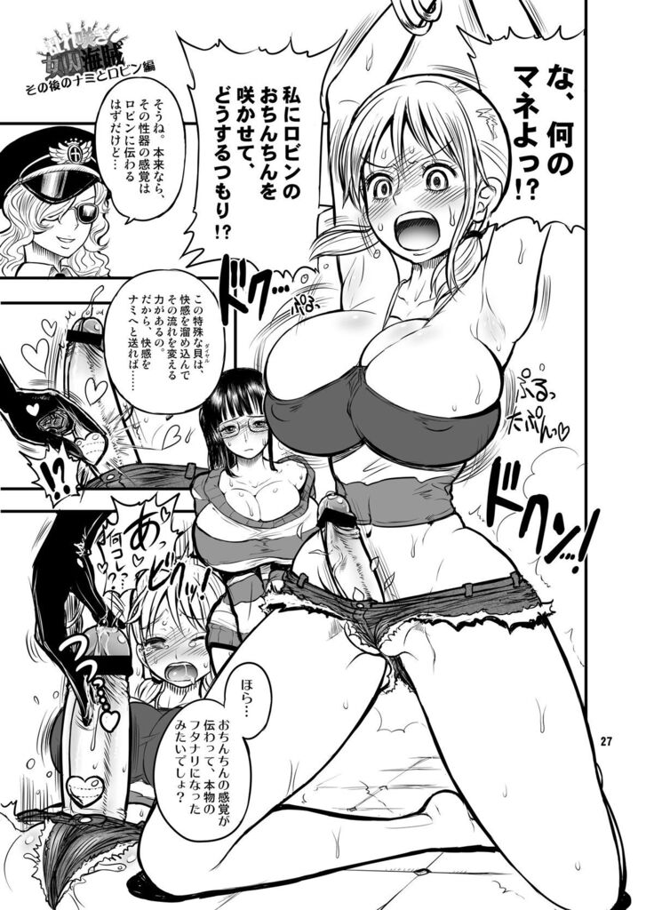 Midarezaki Kaizoku Jotei