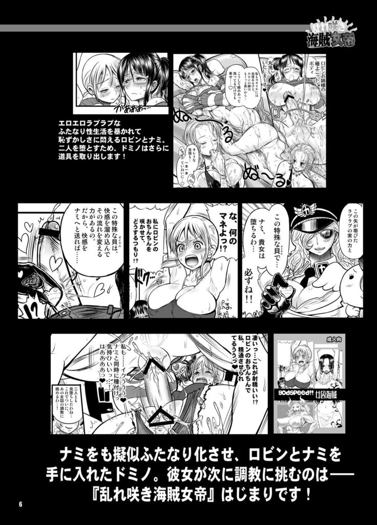 Midarezaki Kaizoku Jotei